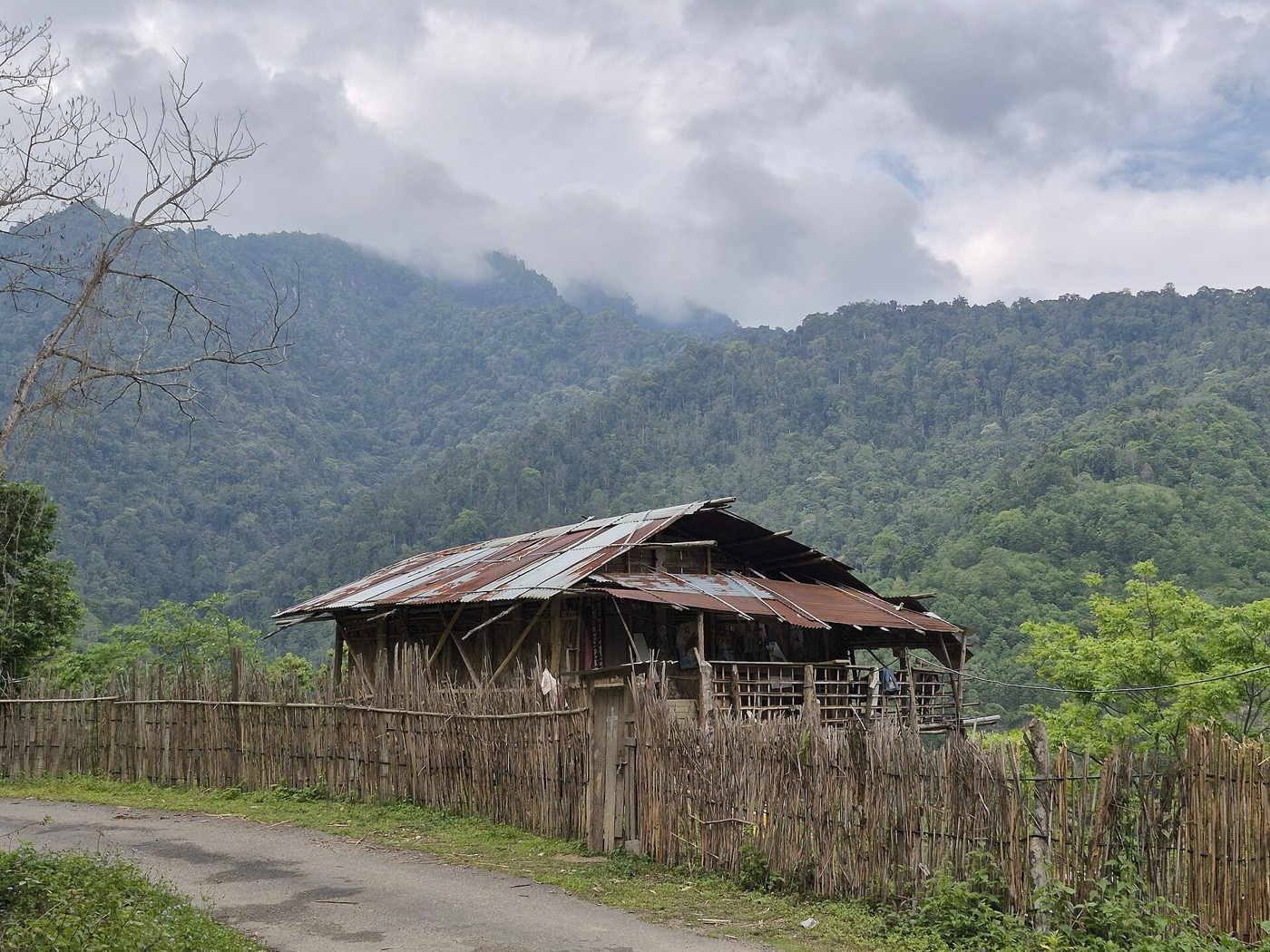 A village against forested hills in Arunachal Pradesh, where the new species was recorded