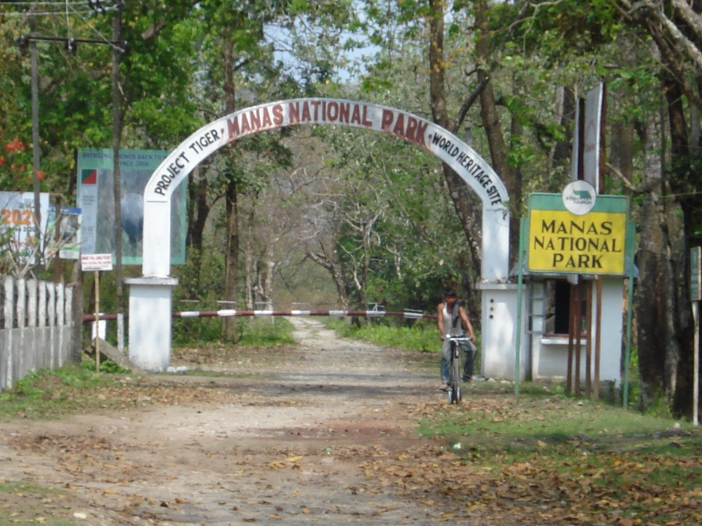 Grassland and forest in Manas National Park, Assam