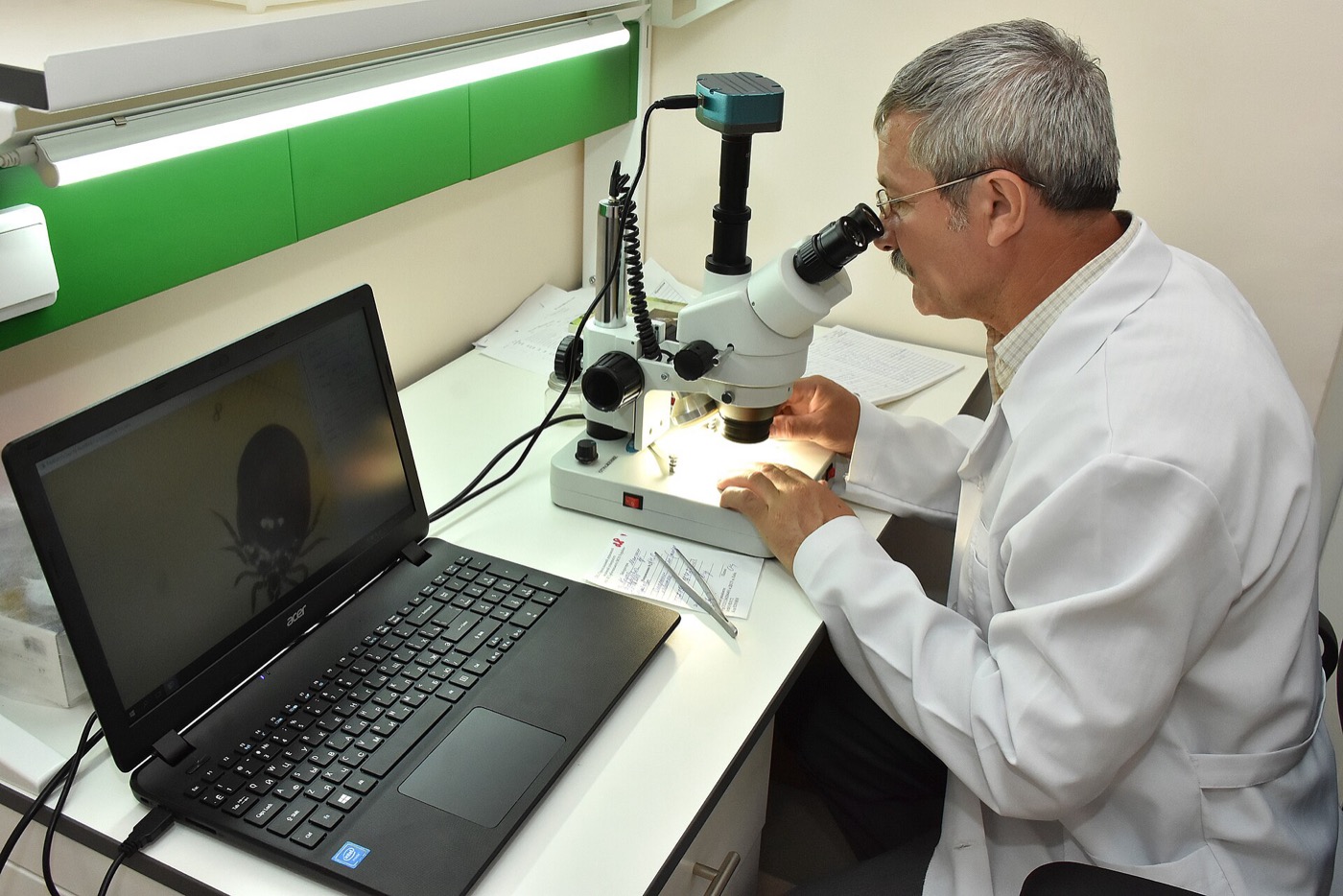 A scientist working in a medical research laboratory