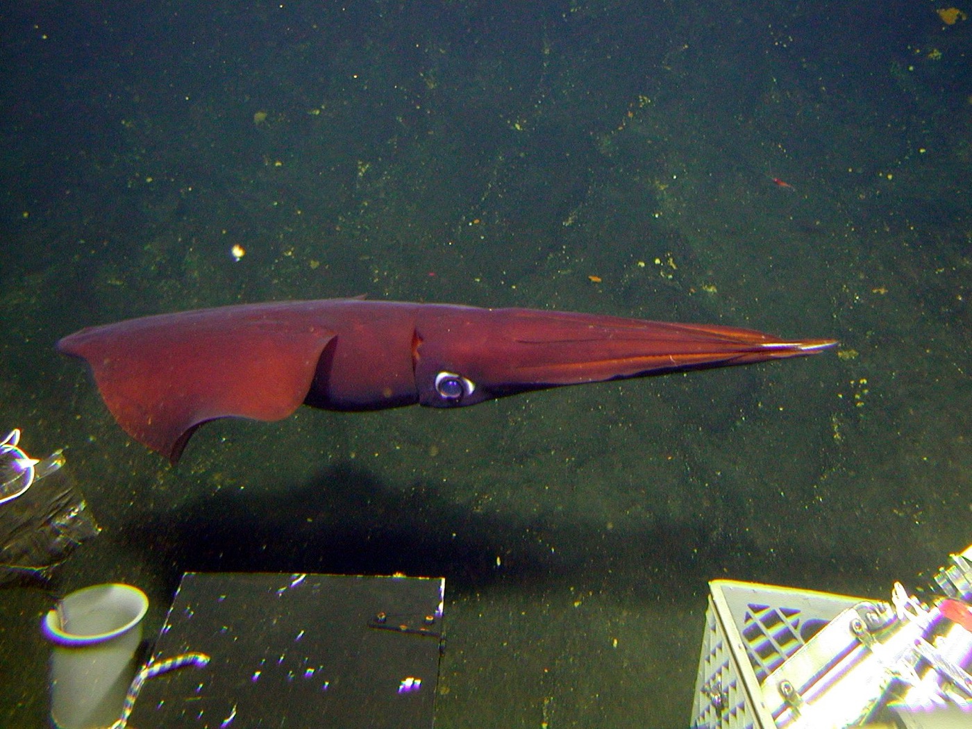 A crewed deep-sea submersible of the kind pursued under the Deep Ocean Mission