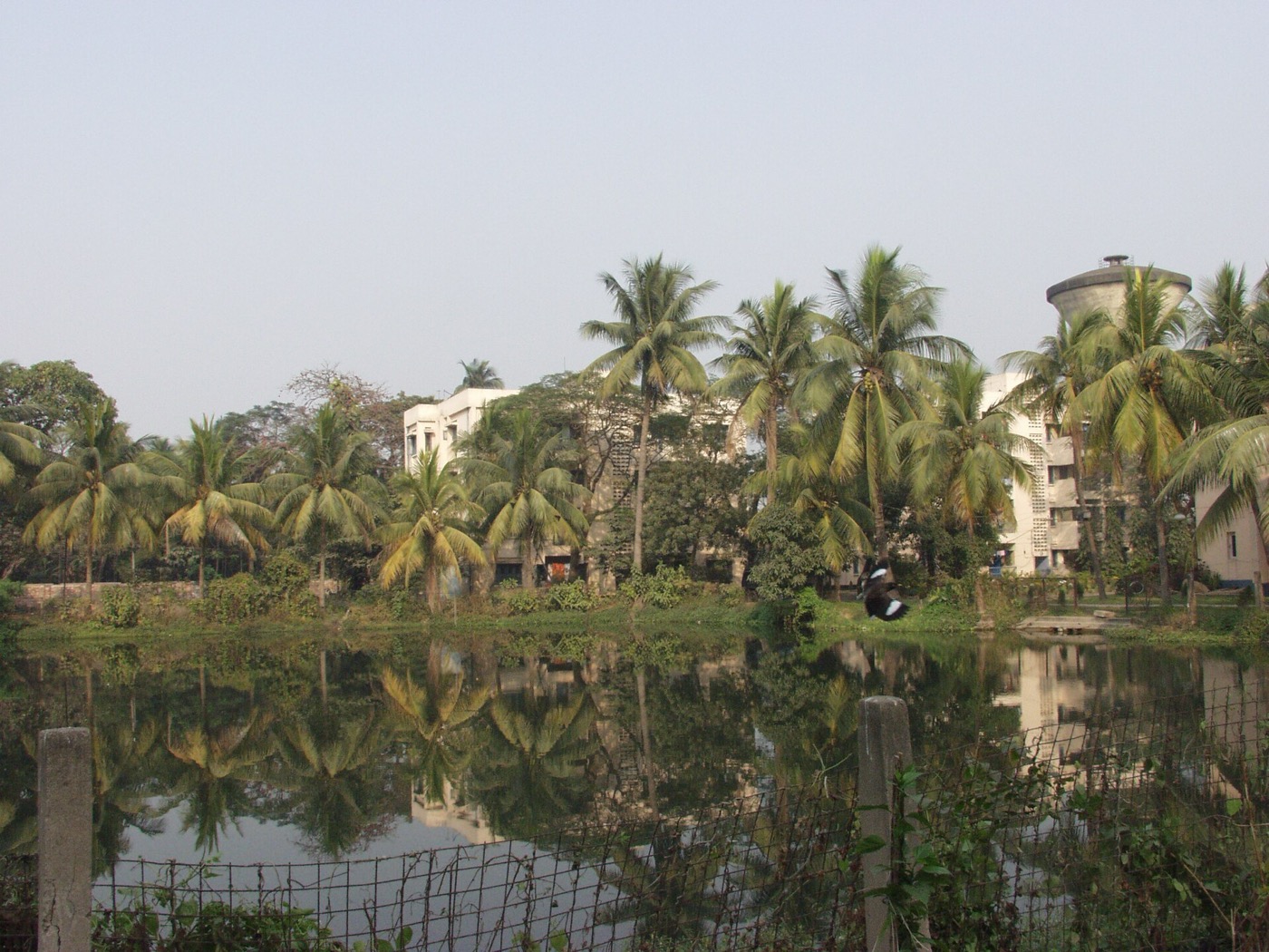 The Indian Statistical Institute, founded by P.C. Mahalanobis in 1931